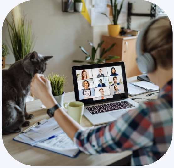 Pro User 2 Page Pro User Residential